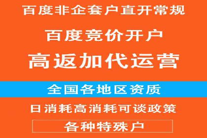 百度推广技巧：实战案例分析